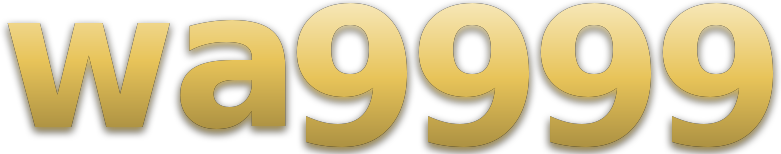 wa9999 logo